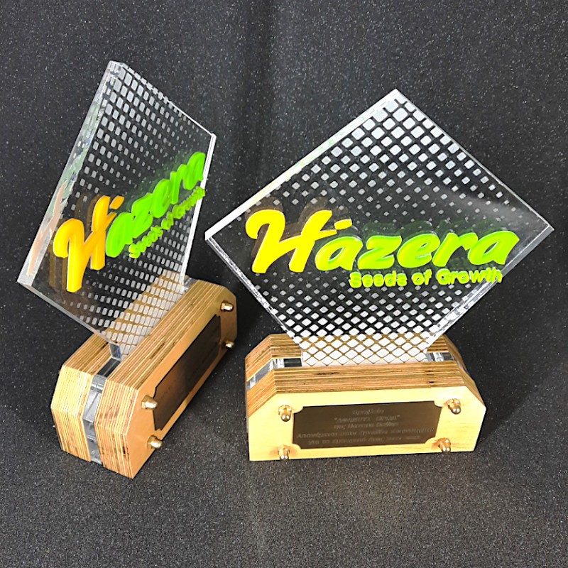 ακρυλικό βραβείο