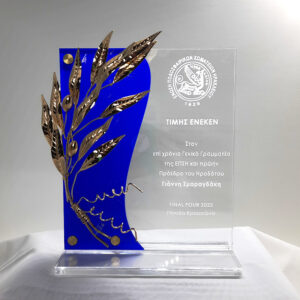 Βραβείο Ακρυλικό 7