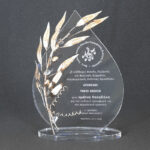 ακρυλικο βραβειο φυλλο σταγονα laserworks