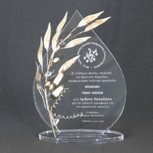 ακρυλικο βραβειο φυλλο σταγονα laserworks